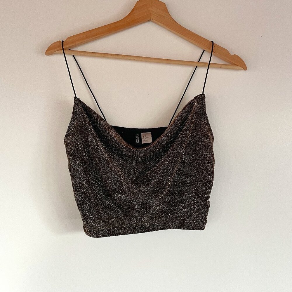 H&M Metallic Shimmer Crop Top